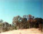 Site of Smith's Cabin